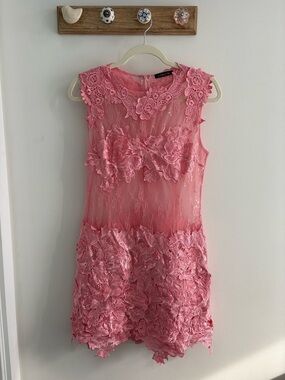 Pink Floral Lace Sheer Mini Dress